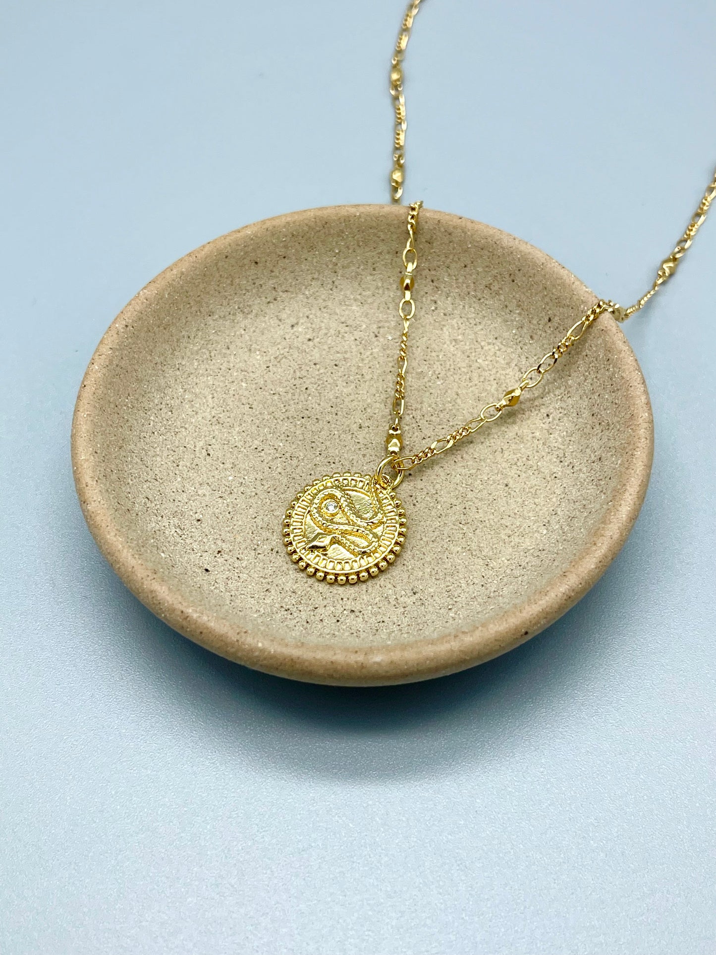 Snake Medallion Necklace