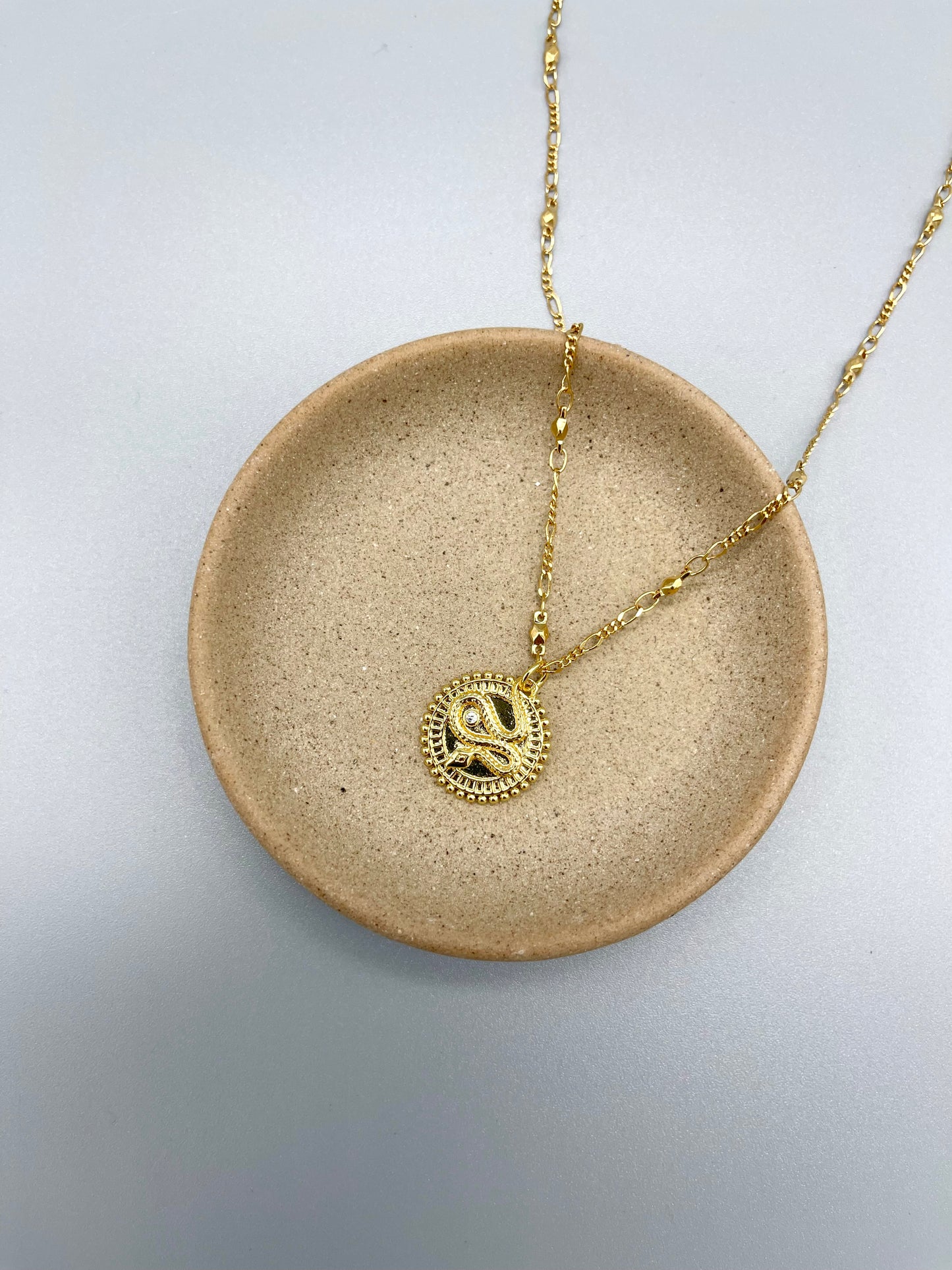 Snake Medallion Necklace